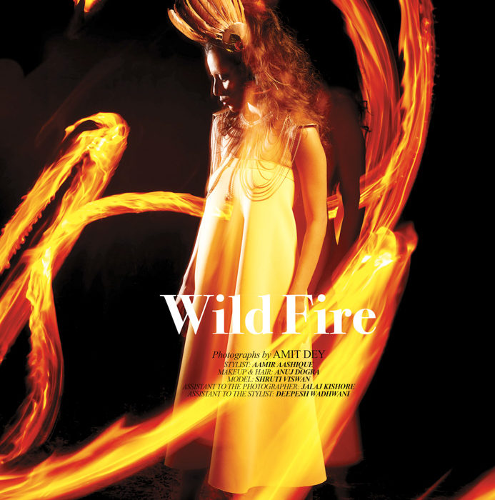 Wild Fire by Amit Dey